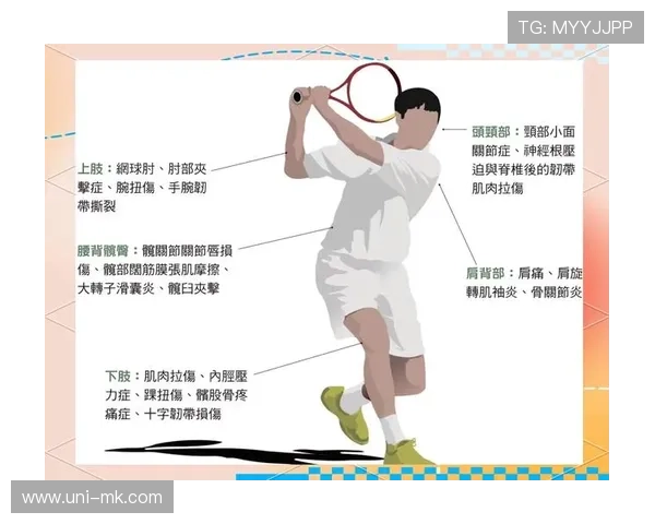 运动康复科学专家谈伤病管理：预防与恢复的科学方法应用效果研究